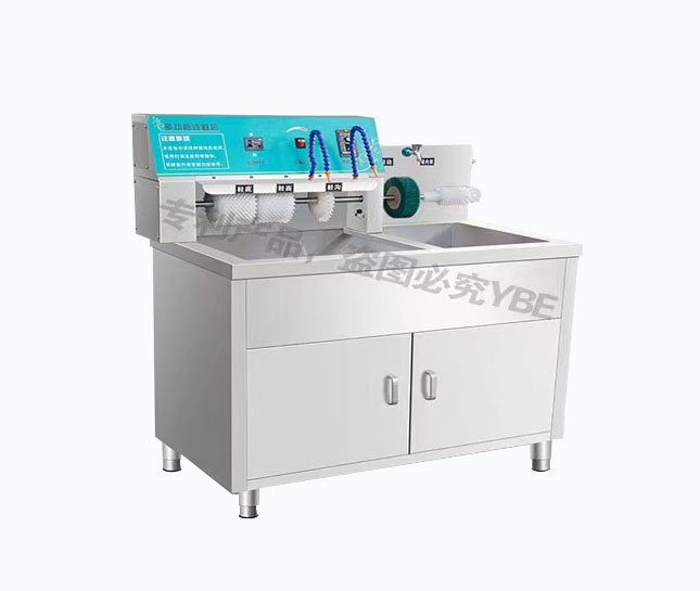 Multi functional shoe washer